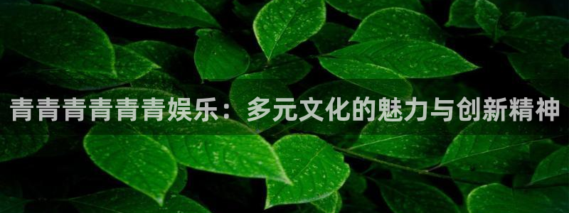 无尽银河官网