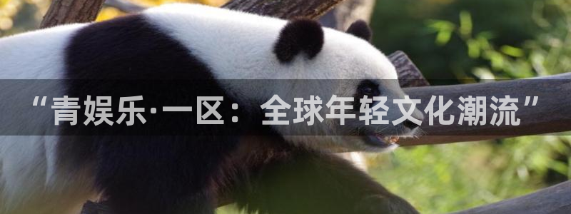 中国银河官网下载